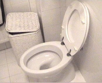 SCIVOLA IN BAGNO E SBATTE LA TESTA, ORA CREDE DI ESSERE UN SANITARIO IN CERAMICA - Lercio