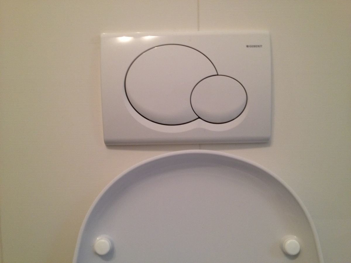 AMBIENTALISTA TENTA DI UCCIDERE AMICO CHE SBAGLIA A TIRARE SCIACQUONE - Lercio