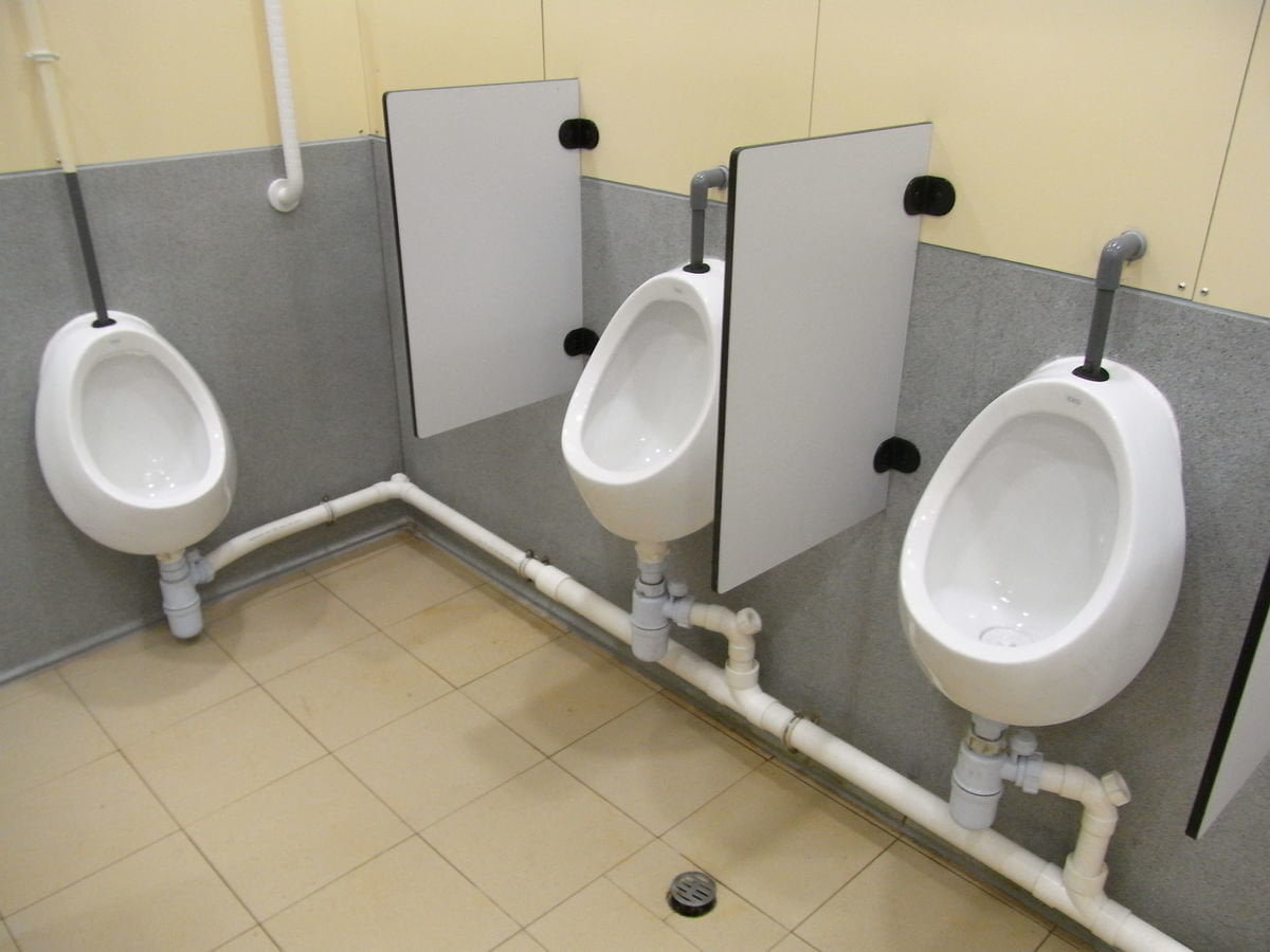 NOVITA’ NEL MONDO DELLE APP: ARRIVA YOUCESS! - Lercio