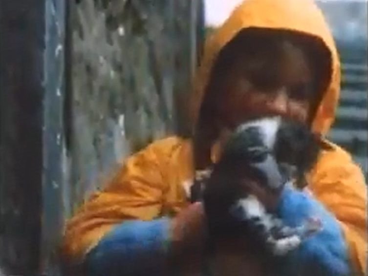 Morto 'Fusillo', gattino degli spot Barilla fine anni '80 - Lercio