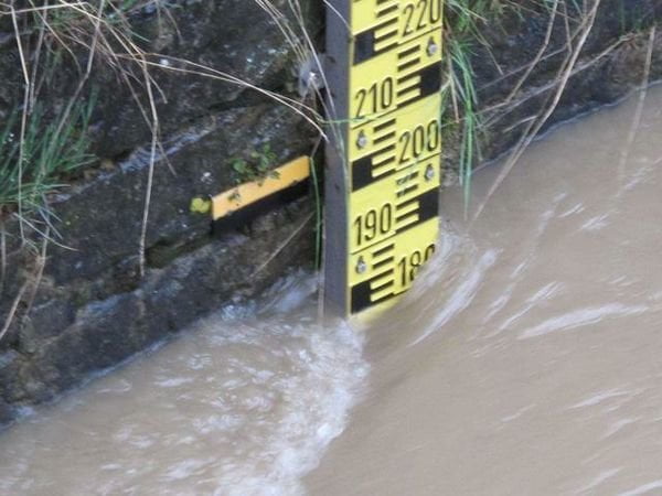 Tenta di battere il record mondiale di sesso orale: anziana annega - Lercio