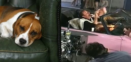 Record d'incassi per il nuovo cinepanettone "Natale a casa a guardare i cinepanettoni" - Lercio