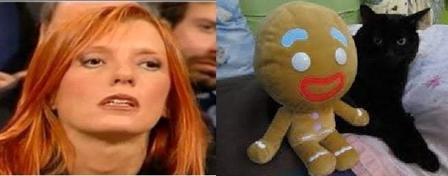 Brambilla: "Basta con la sperimentazione animale, sì alla sperimentazione sui peluche" - Lercio