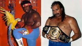 Dopo gli ultimi incidenti, assunti due nuovi commessi alla Camera: arrivano Koko e Jake - Lercio