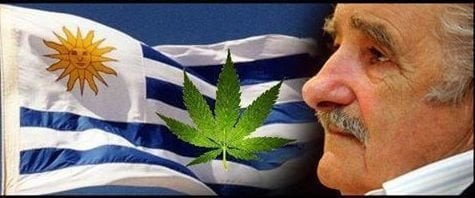 Uruguay, accorato appello del Presidente Mujica: "Qui la gente muore di fame chimica" - Lercio