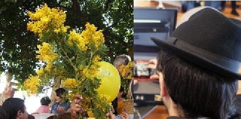 8 marzo: il dramma di Sara, costretta a travestirsi da uomo perchè allergica alle mimose - Lercio