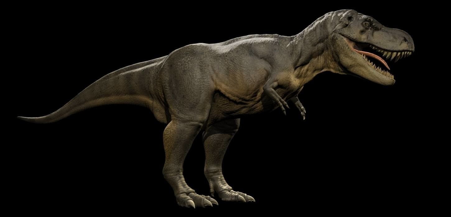 Scienza. Scoperta causa aggressività dei T-Rex: non riuscivano a masturbarsi - Lercio