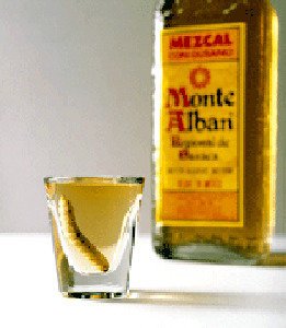 Non ha retto ai sensi di colpa: suicida il vegano che ingoió il verme della tequila - Lercio