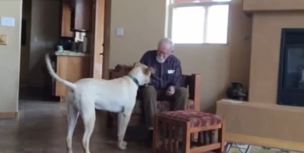 Padre malato di Alzheimer che parla solo con il cane commuove il Web: "non è l'Alzheimer, è che mio figlio è un coglione" - Lercio