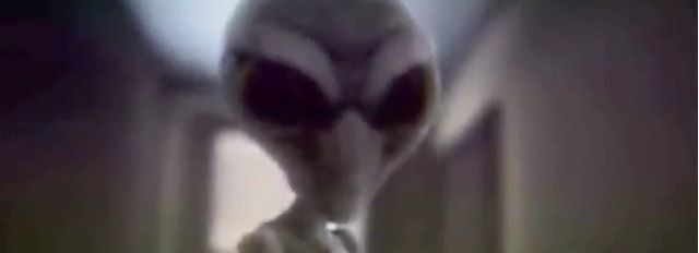 Caso Yara. Spunta un terzo gemello rapito dagli alieni - Lercio