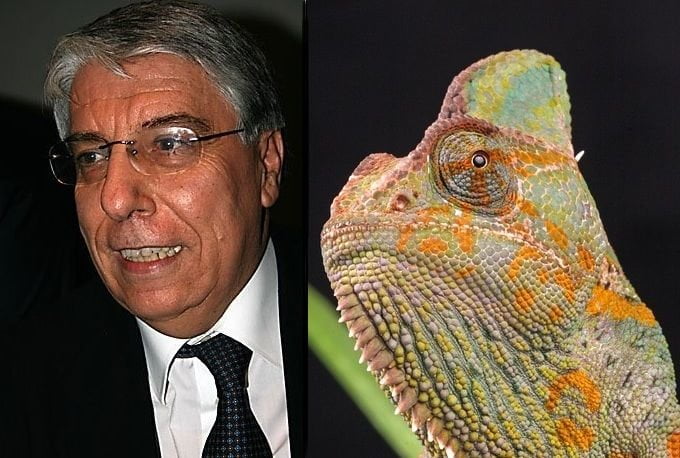 Camaleonte si posa sulla faccia di Giovanardi e diventa marrone - Lercio