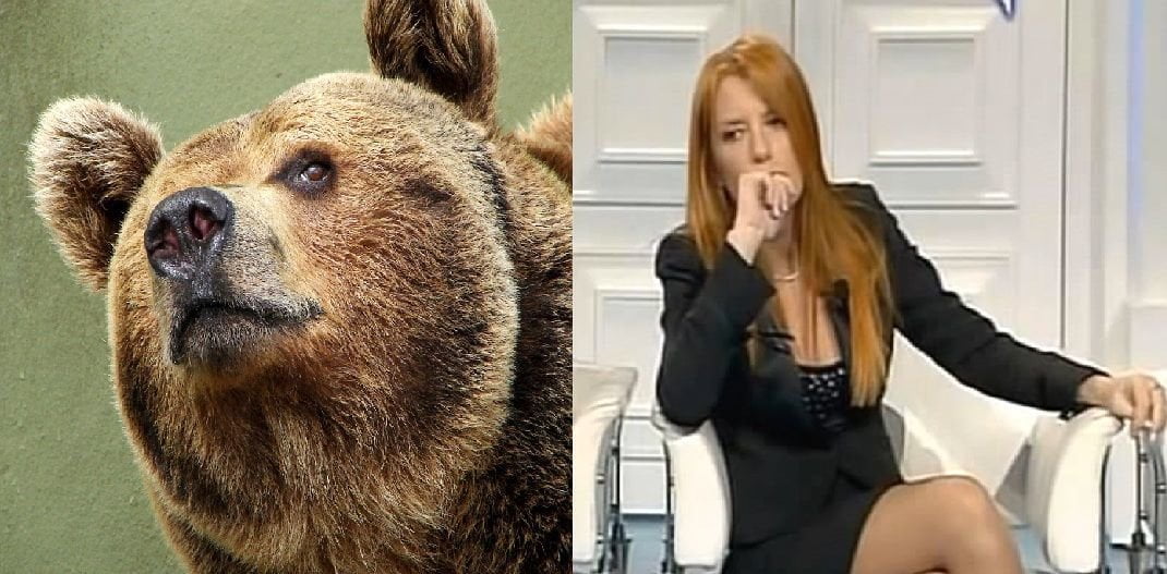 La Brambilla si incatena alla carcassa di Daniza ma era un altro orso che dormiva - Lercio