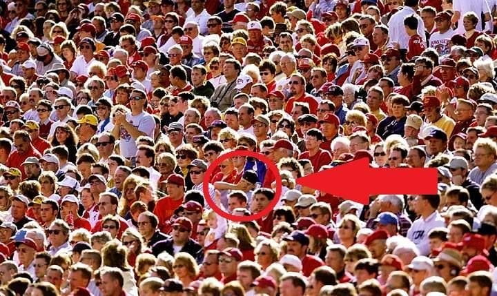 Morte dell'orsa Daniza: individuato l'italiano che si è scandalizzato per primo - Lercio