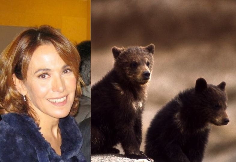 Pomeriggio 5, Barbara D'Urso intervista i cuccioli dell'orsa Daniza - Lercio