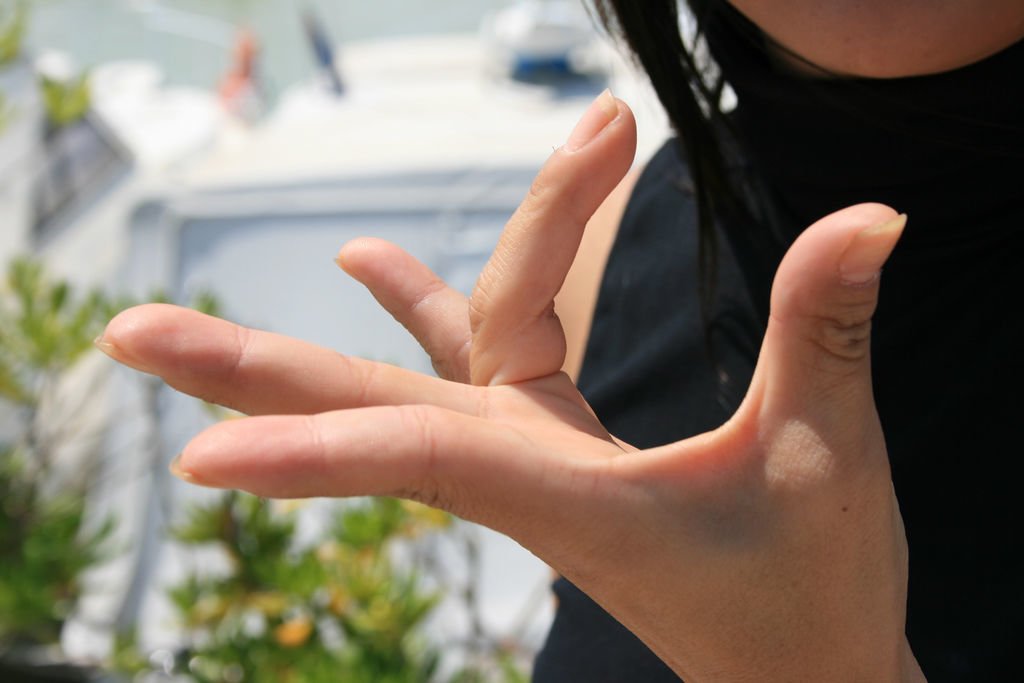 Germania. Inaugurata centrale green alimentata dal gesticolare degli italiani - Lercio