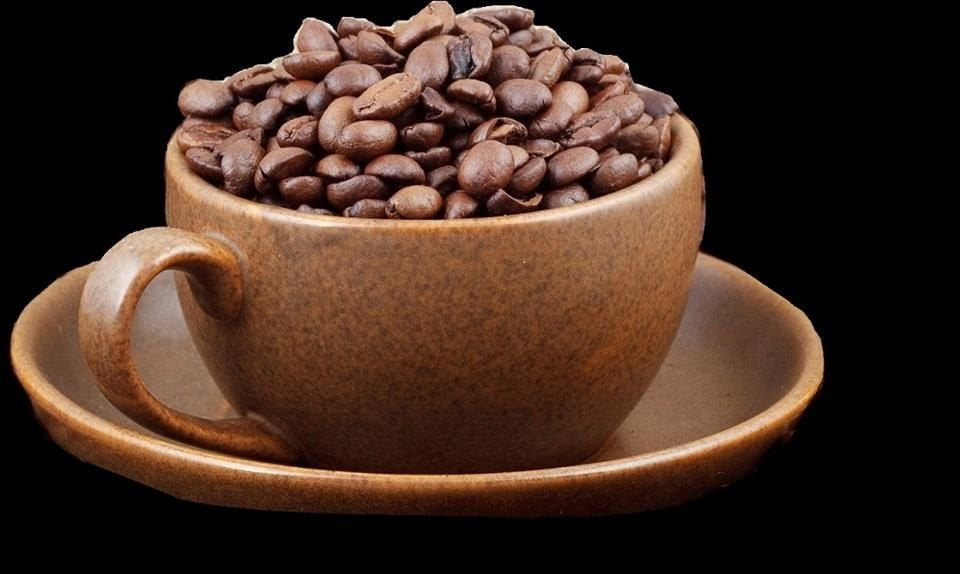 Inaugurata a Milano la prima caffetteria crudista - Lercio