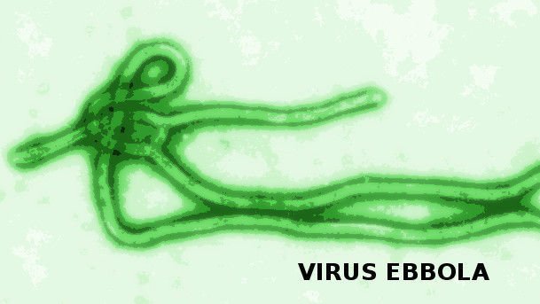 Napoli. Sequestrato virus ebola contraffatto - Lercio