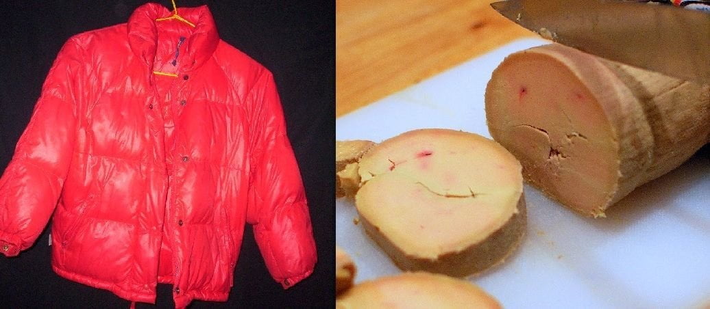 Dopo le polemiche Moncler cambia: lanciato il nuovo piumino in foie gras - Lercio