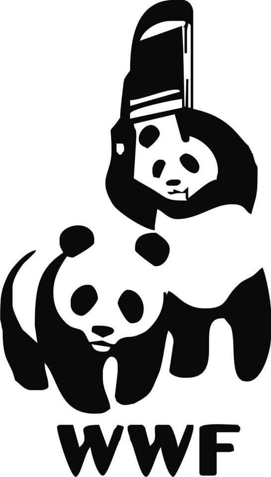 Il WWF apre al wrestling tra panda - Lercio