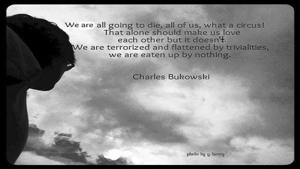 Ricerca, sommando le citazioni di Bukowski su Fb risultano 3 libri in più di quelli pubblicati - Lercio