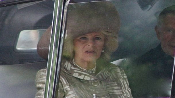 Stanca di essere paragonata a un cavallo, Camilla Parker Bowles si fa asportare l'enorme pene - Lercio