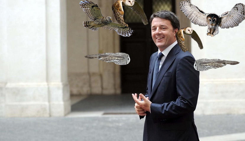 Stormo di gufi attacca Renzi e lo seppellisce nel guano: il Premier estratto dopo sei ore - Lercio