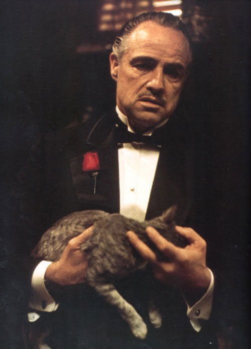 La mafia accusa: "Troppi conservanti nelle merendine, i bambini non si sciolgono più nell'acido" - Lercio