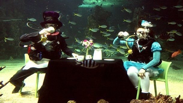 Inaugurata all'Acquario di Genova la nuova vasca dei pentiti - Lercio