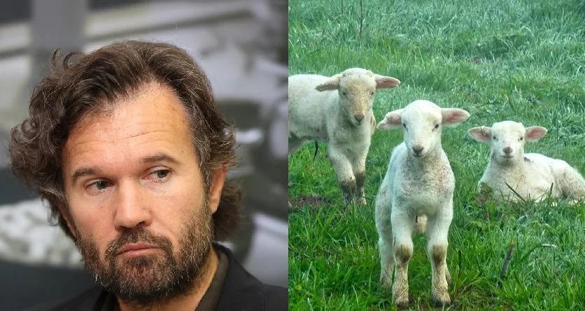 Cracco: "Il segreto del mio agnello? Lo condisco da vivo" - Lercio
