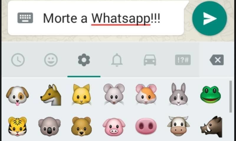 "Basta maiali tra gli emoticon!". L'Isis lancia fatwa contro Whatsapp - Lercio