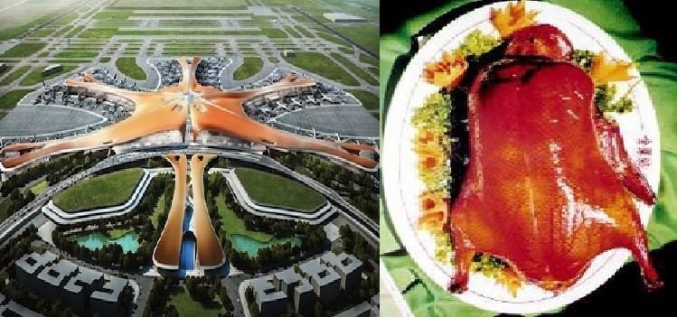 Cina. L'architetto del nuovo aeroporto della capitale: "Mi sono ispirato all'anatra alla pechinese" - Lercio