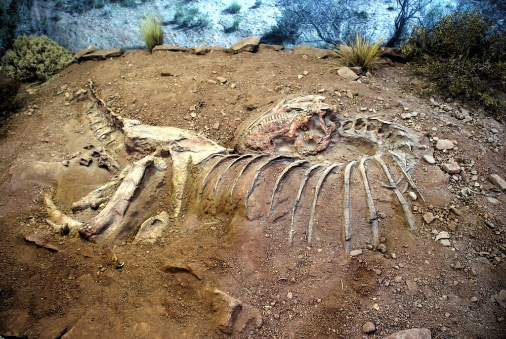 Guida ubriaco la macchina del tempo e investe un dinosauro - Lercio