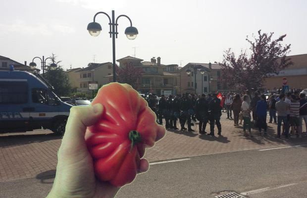 Presidio anti-Salvini si spacca sull'ortaggio da lanciare - Lercio