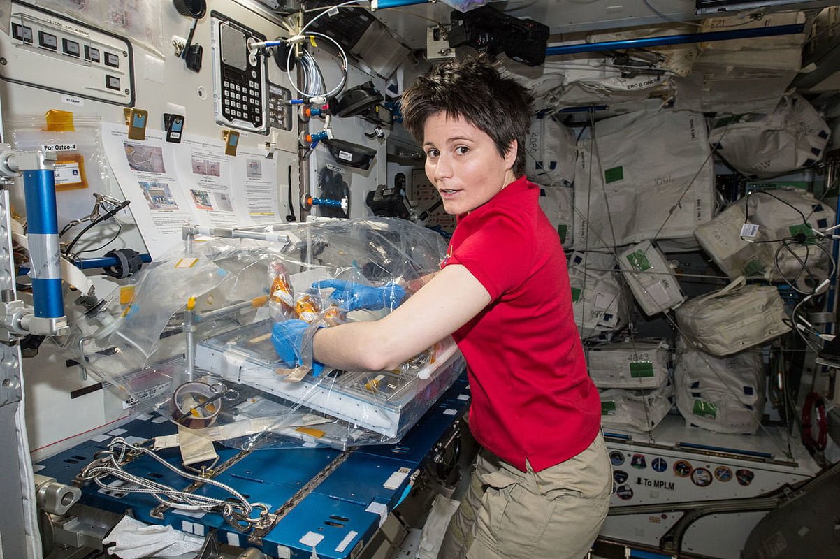 Nasa, cambio di programma: "AstroSamantha atterrerà nel soggiorno di Fabio Fazio" - Lercio