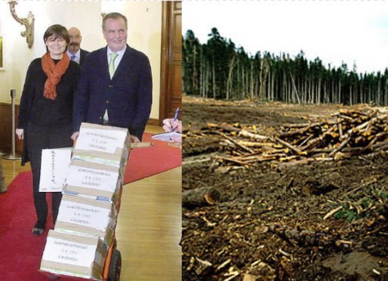 Stagista stampa per errore gli emendamenti di Calderoli e distrugge due terzi dell’Amazzonia - Lercio