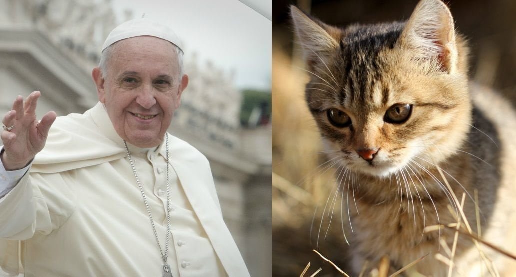 Prosegue la missione simpatia del Vaticano: "Dopo Francesco, il prossimo Papa sarà un gattino" - Lercio