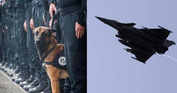 Parigi, terroristi uccidono cane poliziotto: al via i raid francesi contro i canili siriani - Lercio