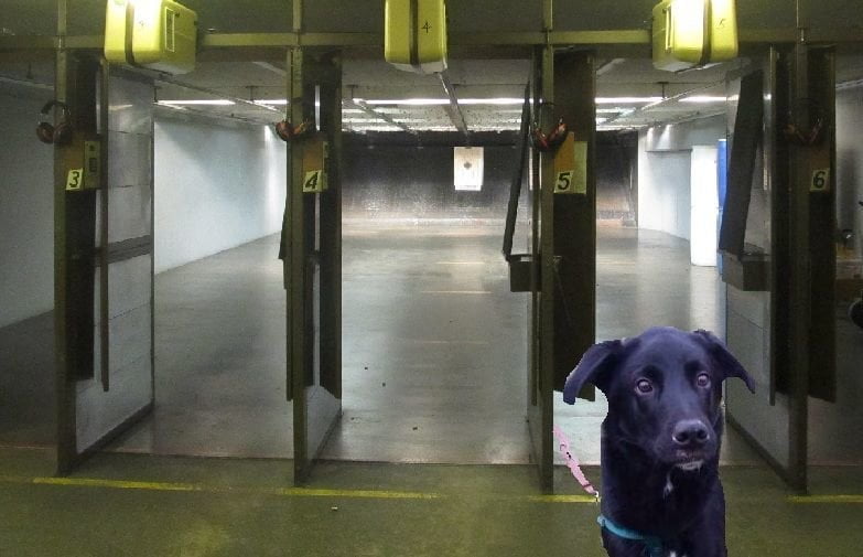 Porta ogni giorno il cane al poligono di tiro per farlo abituare ai botti di Capodanno - Lercio