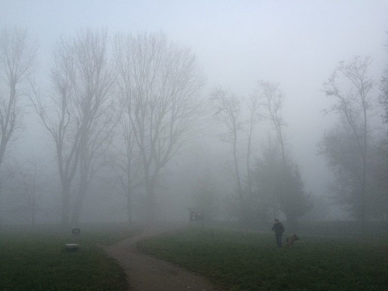 Studio rivela: Milano avvolta nella nebbia è lo sfondo desktop più utilizzato ai Caraibi - Lercio