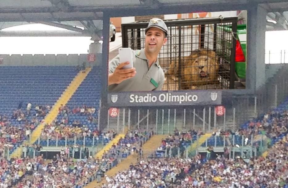 Va allo stadio per vedere il derby e invece danno "Quo Vado?" - Lercio