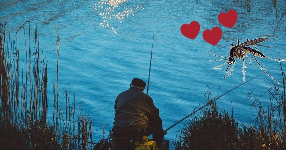 Torna ogni estate dall'uomo che l'ha nutrita: zanzara commuove il web - Lercio