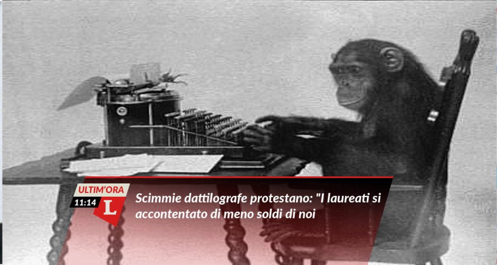 Crisi. Scimmie dattilografe protestano: "I laureati si accontentano di meno soldi di noi" - Lercio