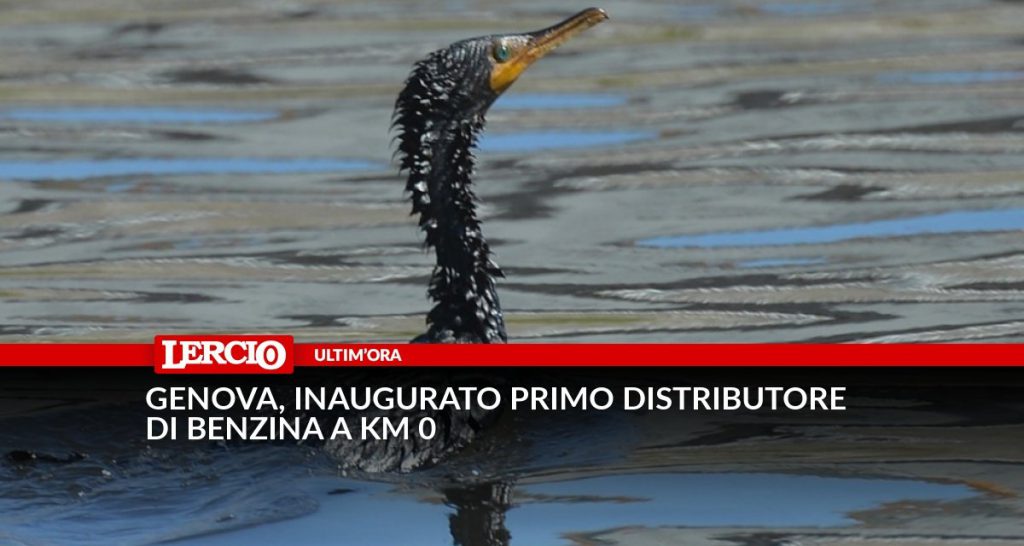 Genova, inaugurato primo distributore di benzina a km 0 - Lercio
