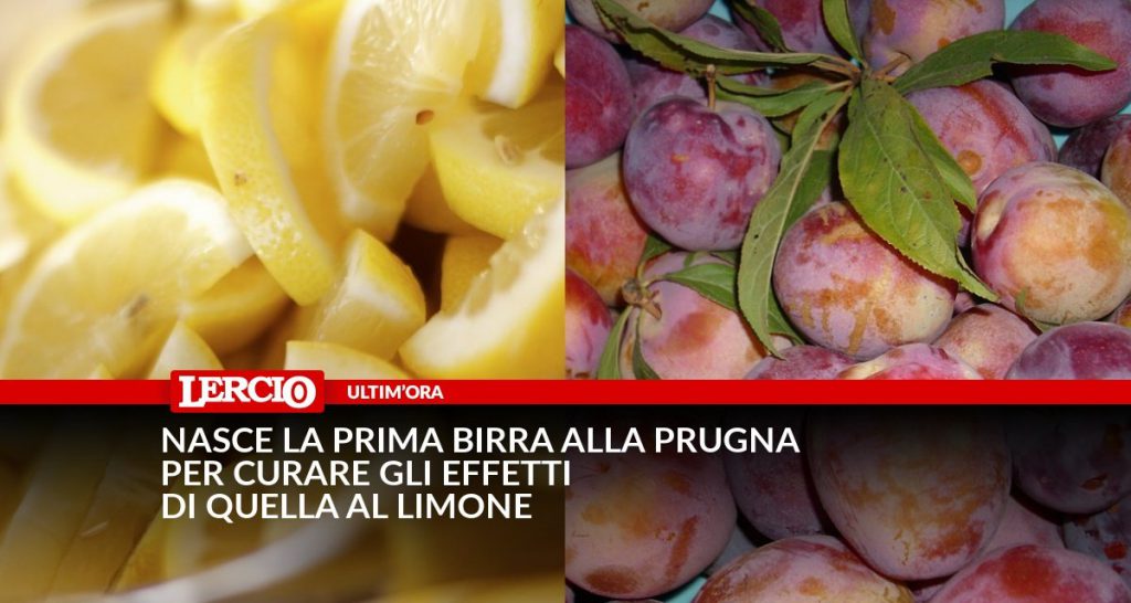 Nasce la prima birra alla prugna per curare gli effetti di quella al limone - Lercio