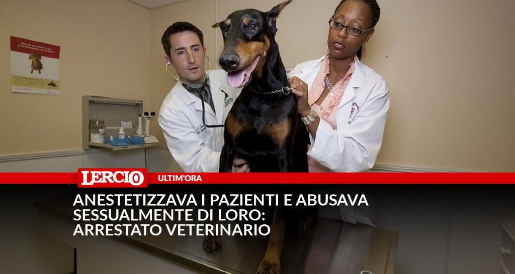 Anestetizzava i pazienti e abusava sessualmente di loro: arrestato veterinario - Lercio