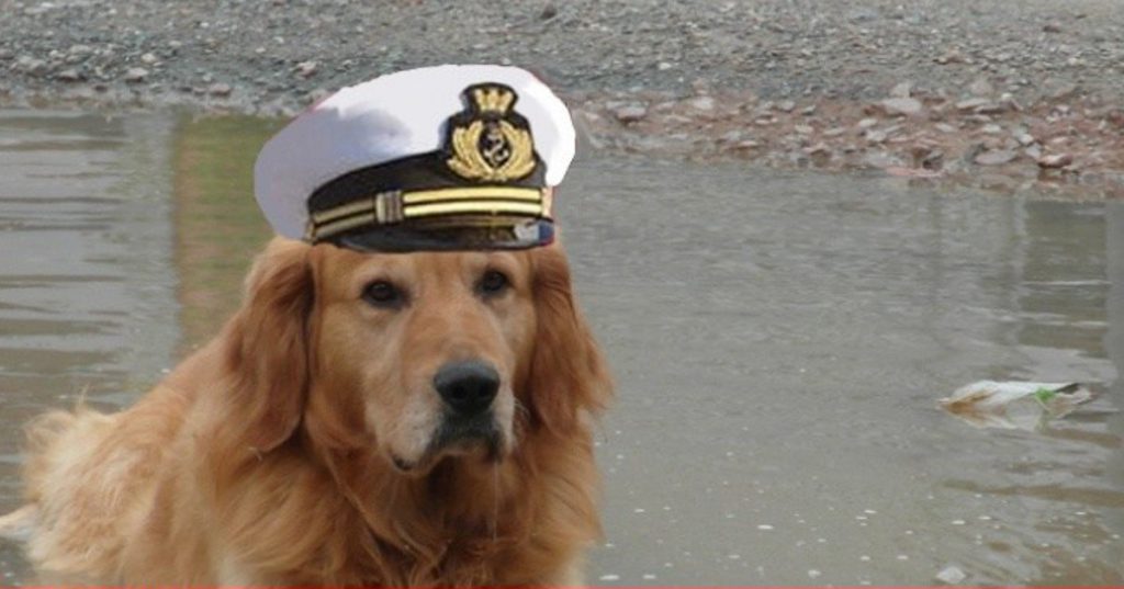 Marò, il cane di Girone trattenuto in India con l'accusa di aver morso due pescatori - Lercio