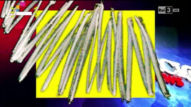 LercioNews al Concerto Primo Maggio