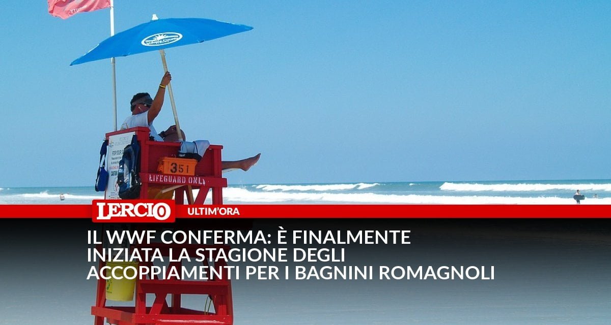 Il WWF conferma: è finalmente iniziata la stagione degli accoppiamenti per i bagnini romagnoli - Lercio