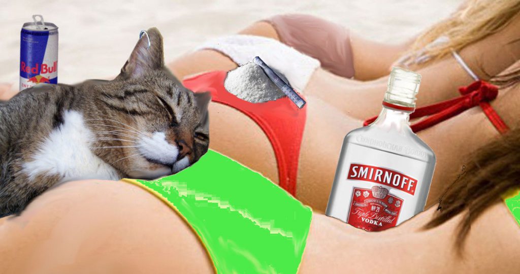 Anziana milionaria lascia l'eredità al suo gatto e lui spende tutto in droga e mignotte - Lercio