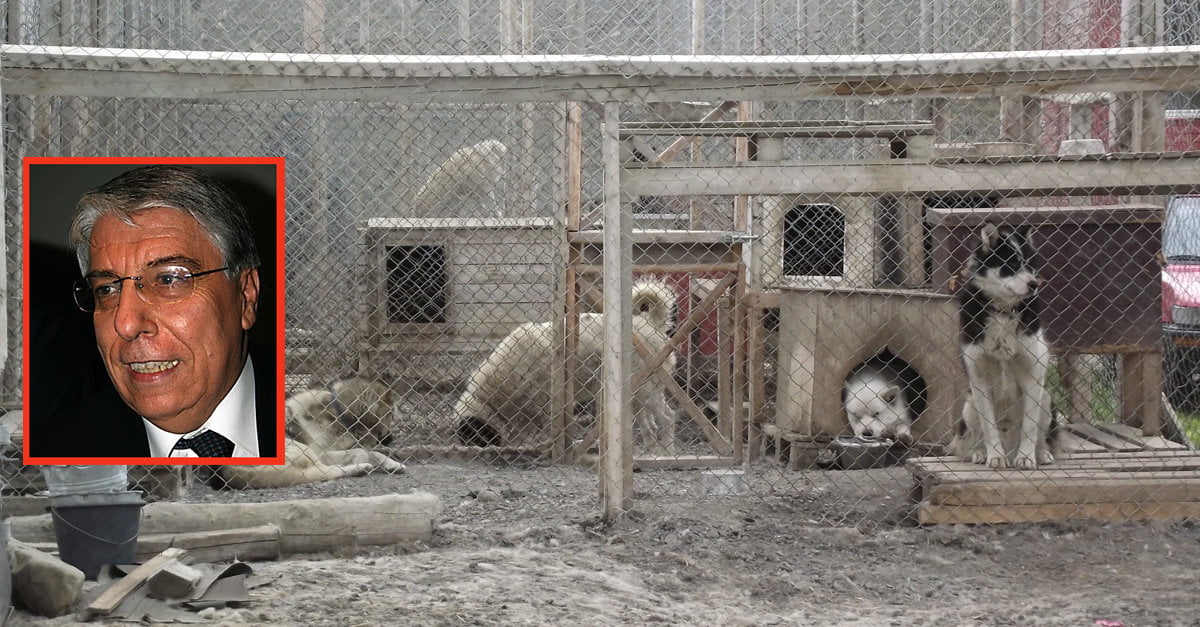 Ululava davanti all'Arcigay: Giovanardi rinchiuso nel canile di Modena - Lercio